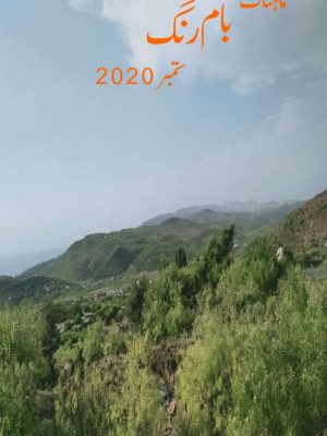 ماہتاک بام رنگ ستمبر 2020