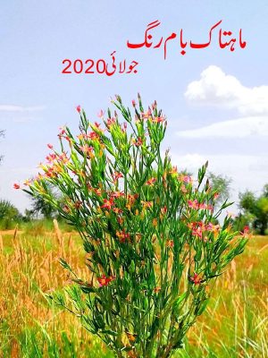 ماہتاک بام رنگ جولائ 2020