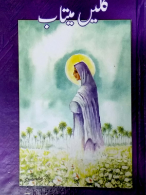 گُلیں میتاپ از چاکر علی ابرار